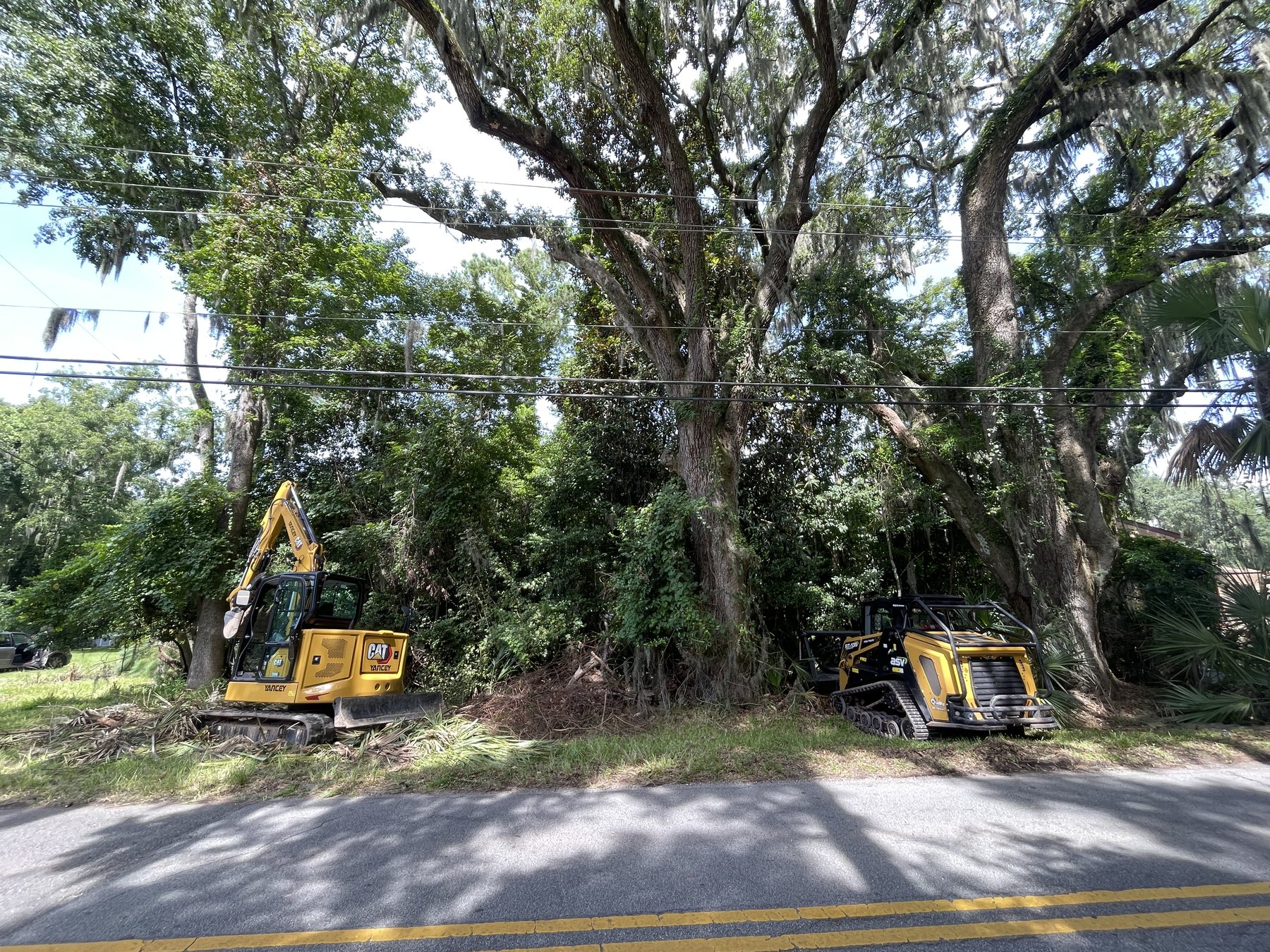 Owner walking a wooded property under mature oaks