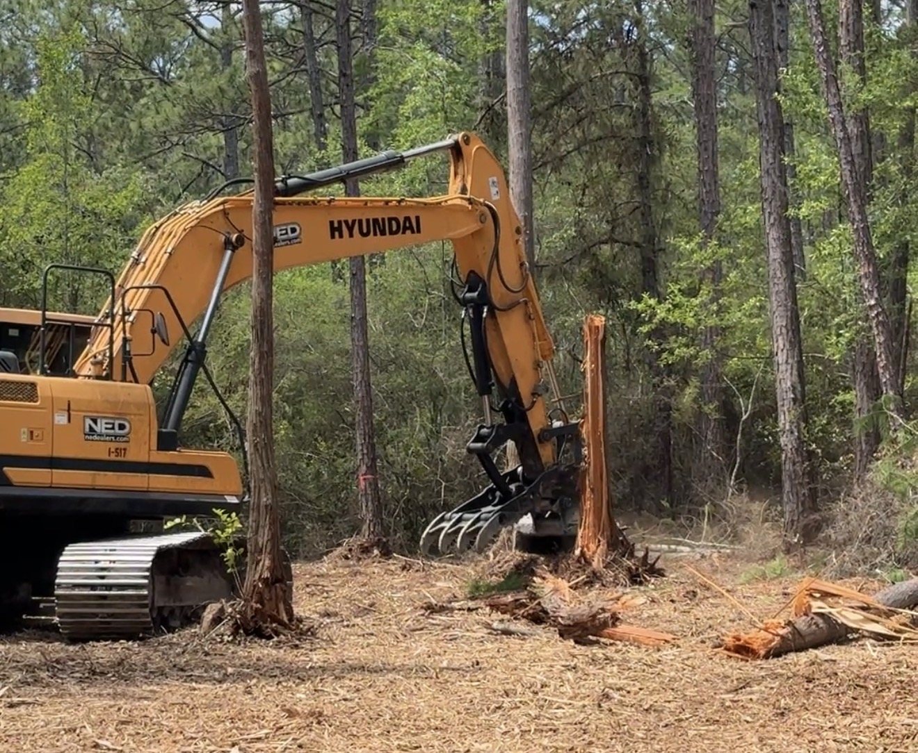 Excavator lifting a stump and root ball clear of the ground