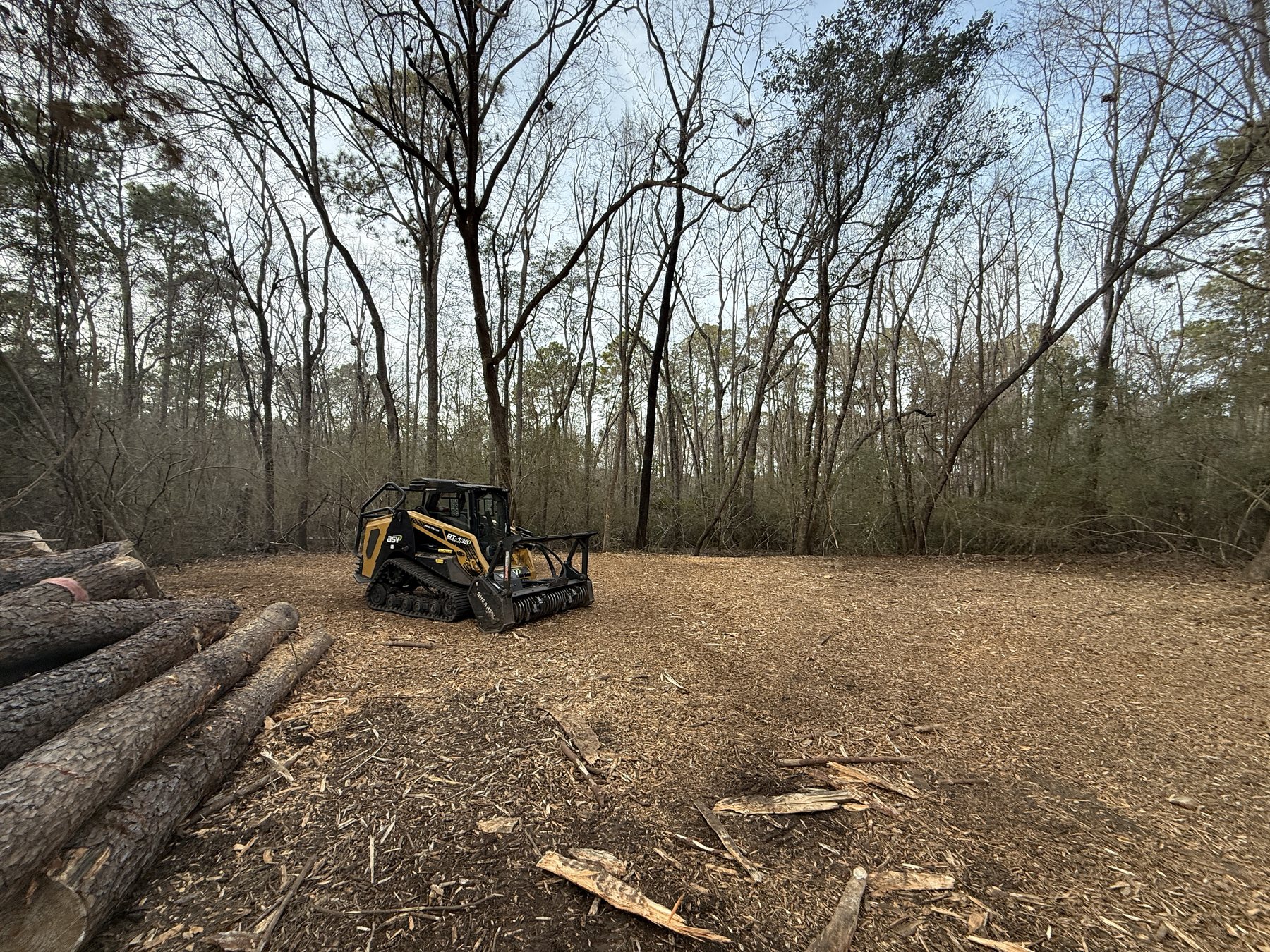 Sorted logs stacked at the edge of a cleared area