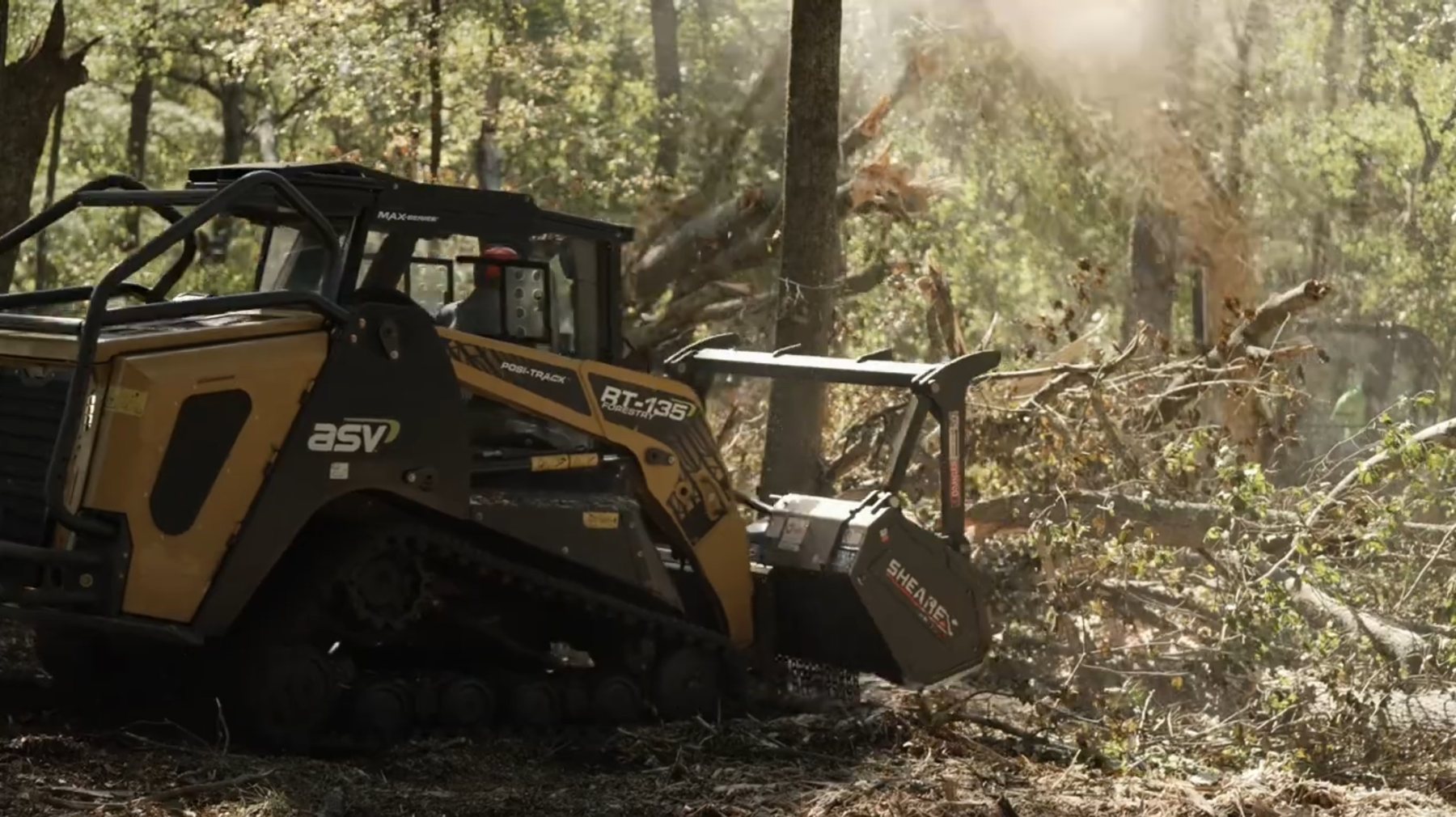 Mulcher operating between mature pines in a partially thinned stand