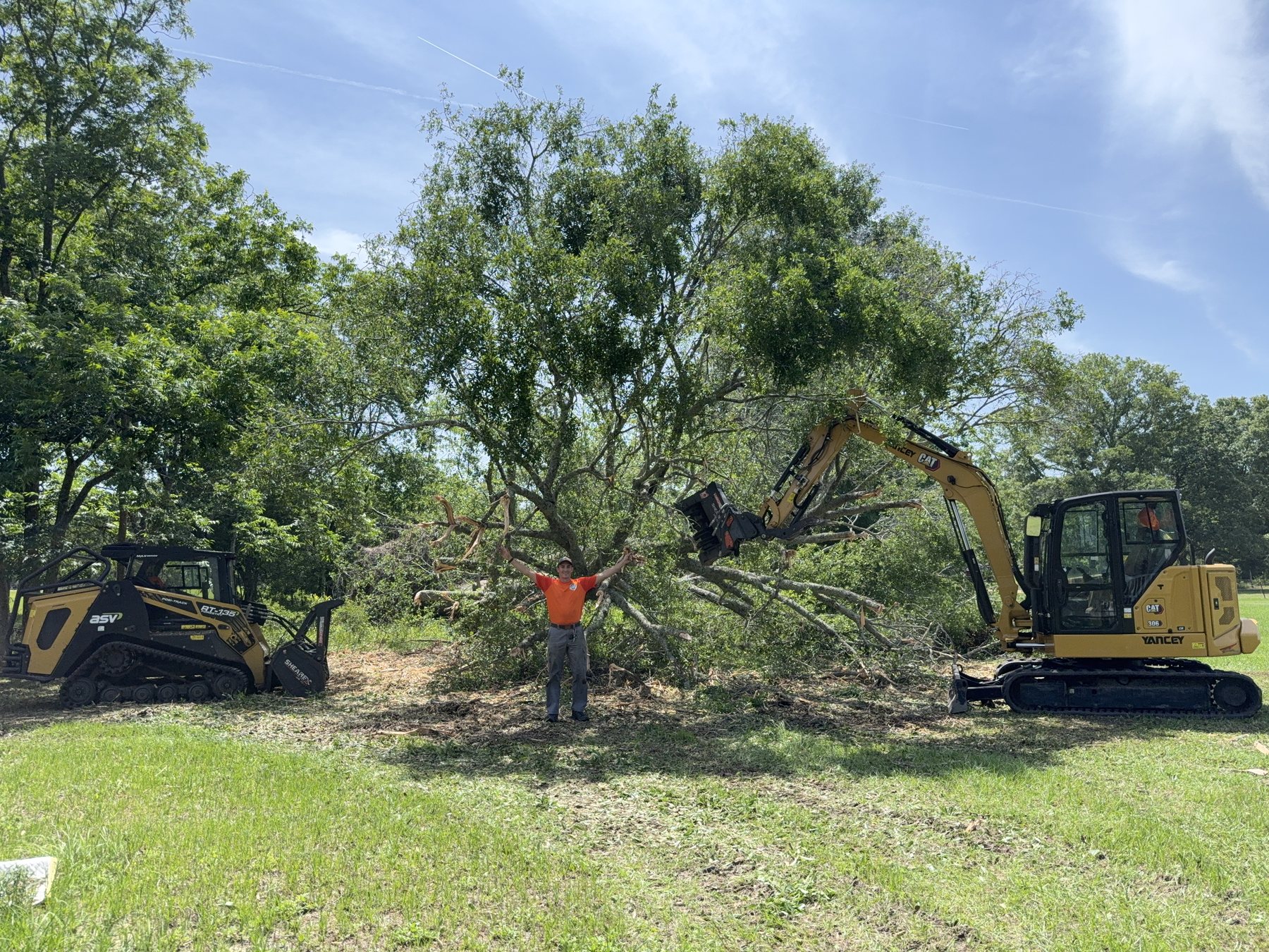 Equipment working under a damaged tree canopy