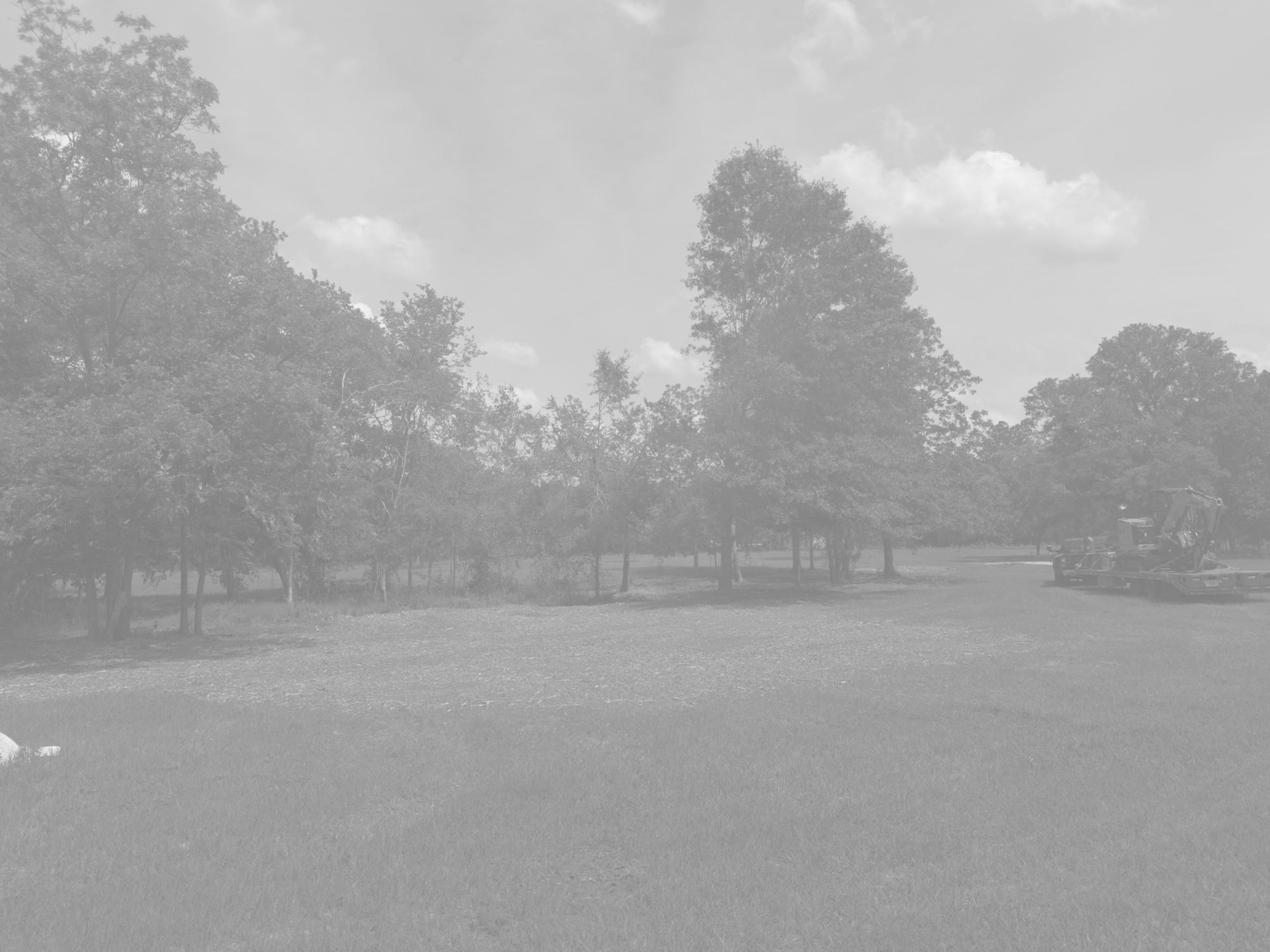 Finished graded yard beneath mature shade trees