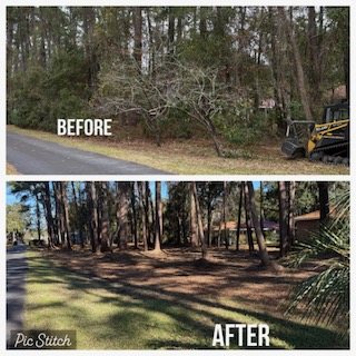 Cleaned roadside frontage with mature oaks preserved