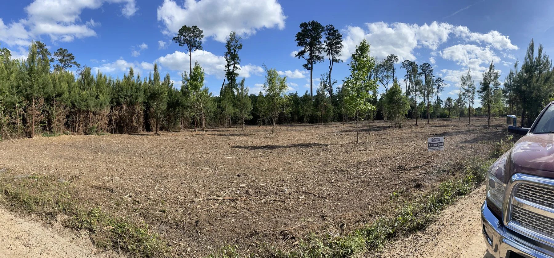 The same property after forestry mulching, open and clean as a park