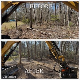 Mulched access lane leading into a stand of timber
