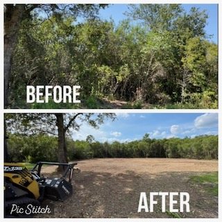 Residential backyard opened up after forestry mulching
