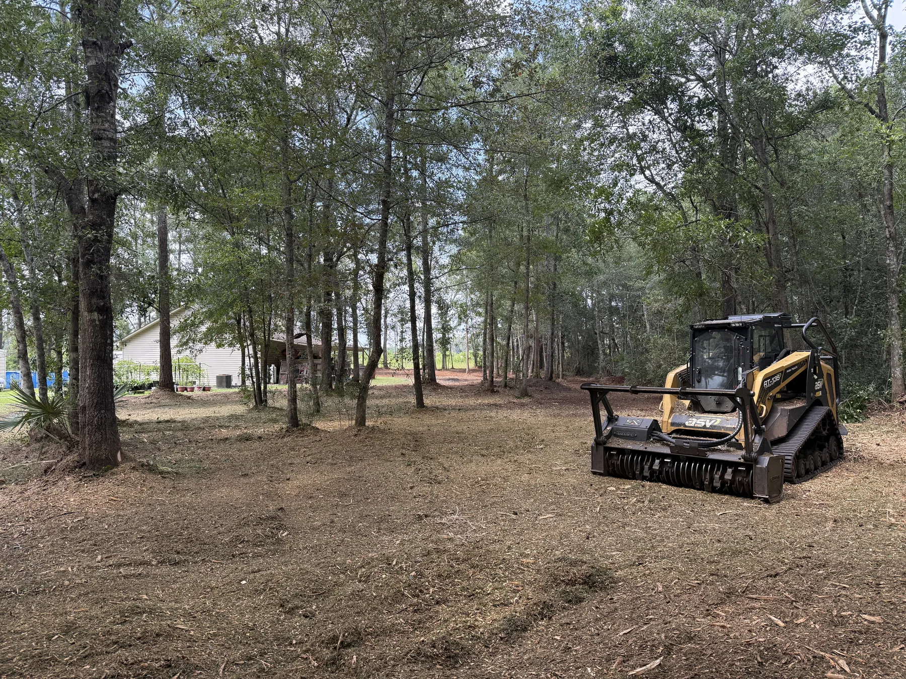 Mulcher opening the underbrush around a residential lot