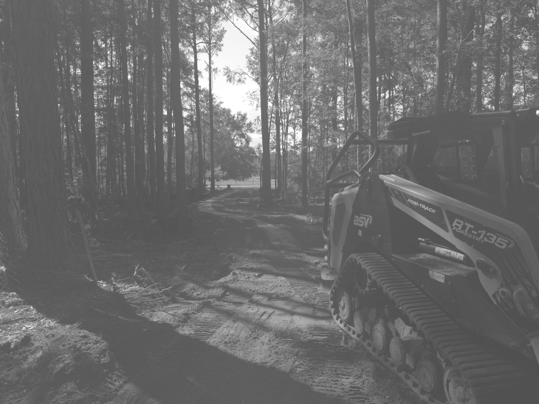 Track loader clearing a lot of scrub timber